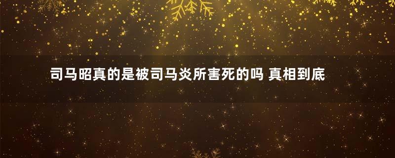 司马昭真的是被司马炎所害死的吗 真相到底是什么样的